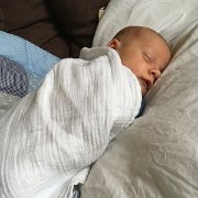 IMG 033